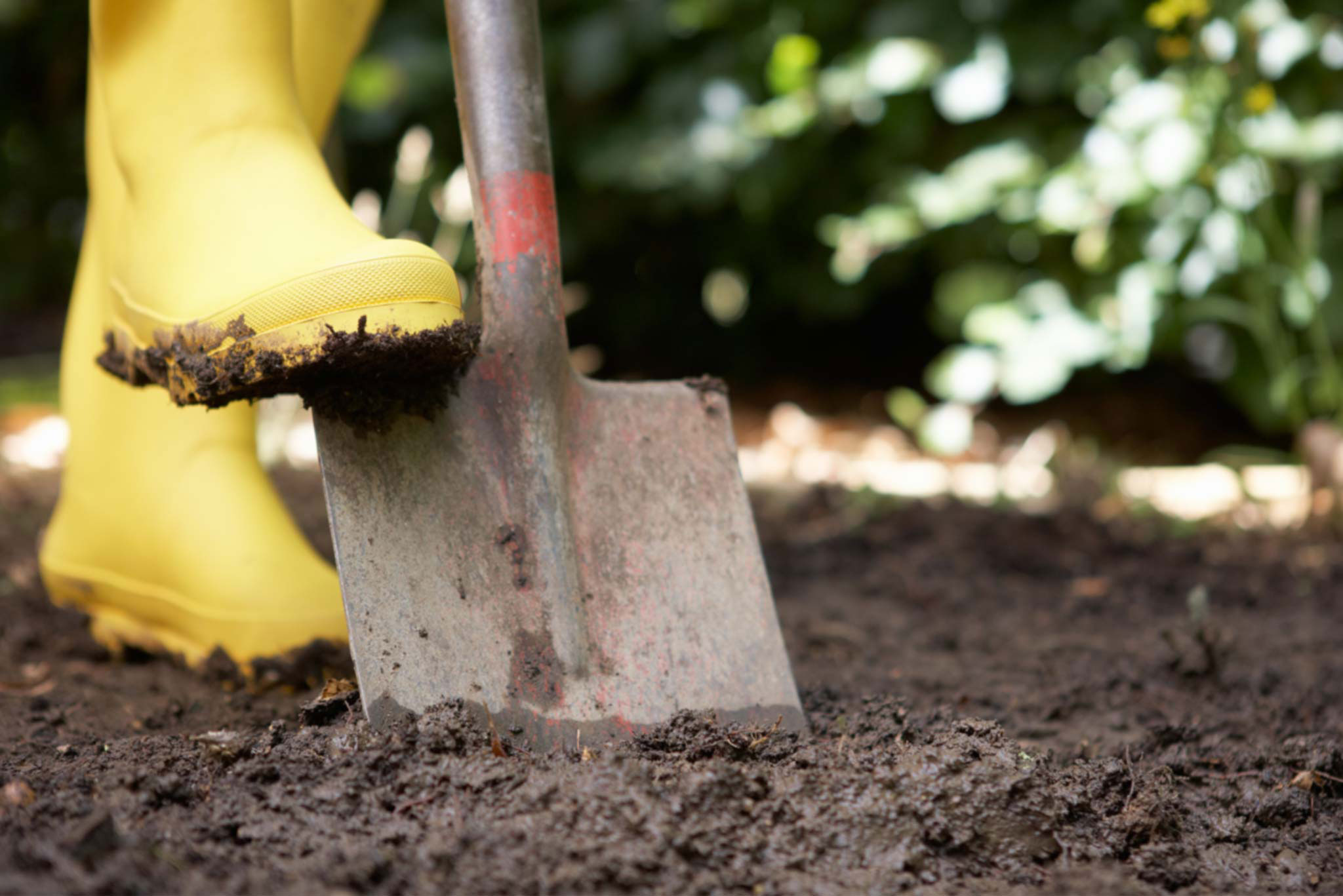 Call Before You Dig